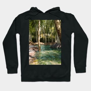 Jungle River Hoodie